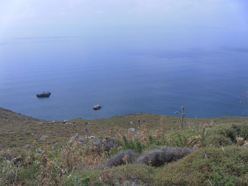 Image SAM_0743.JPG