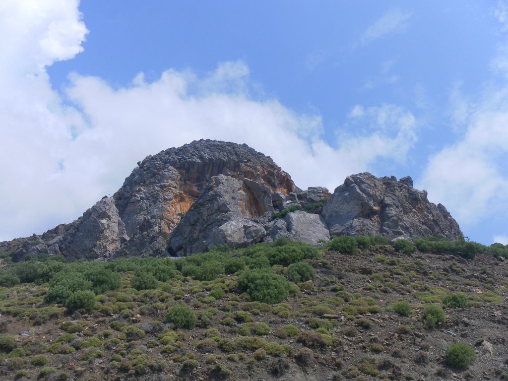 Image SAM_0746.JPG