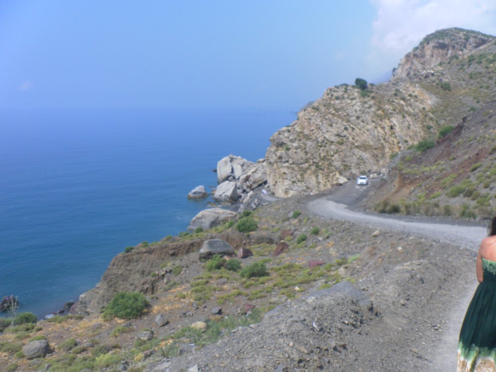 Image SAM_0748.JPG