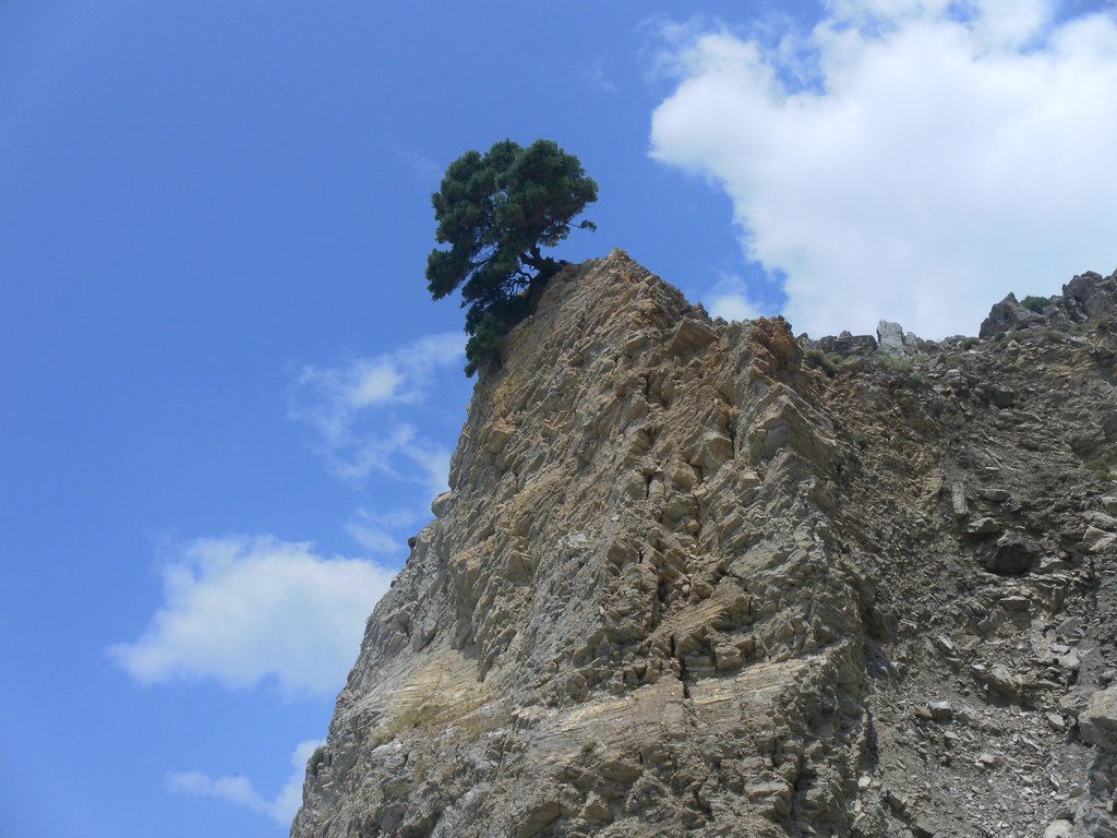 Image SAM_0756.JPG