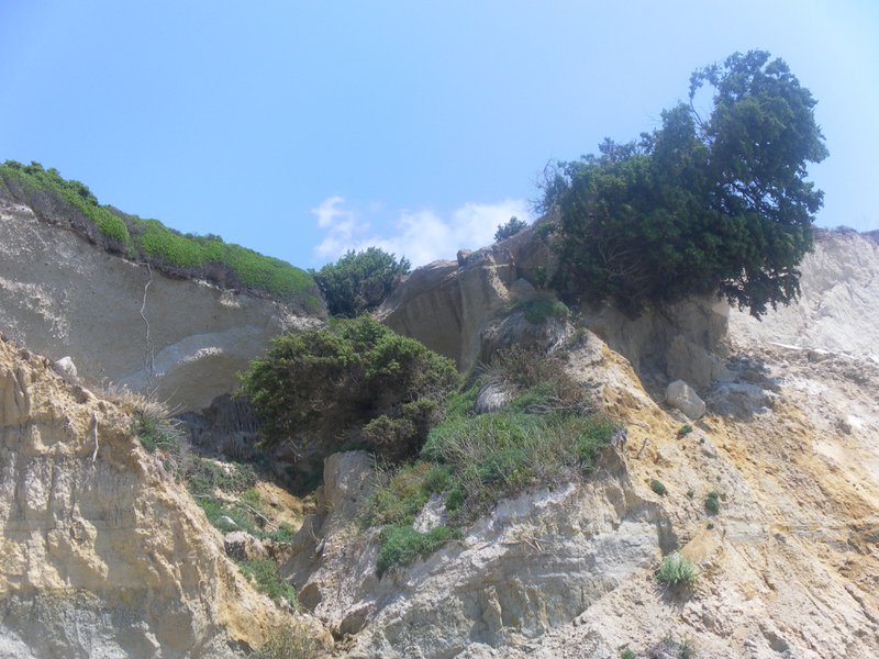 Image SAM_0772.JPG