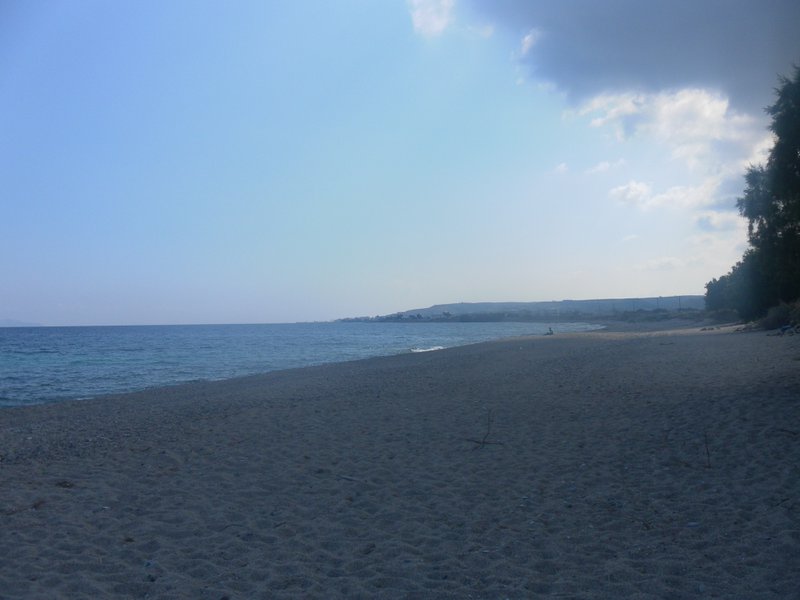Image SAM_0774.JPG