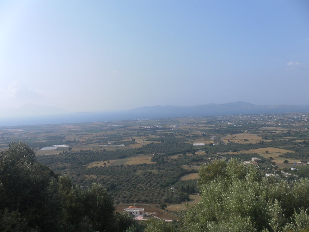 Image SAM_0781.JPG
