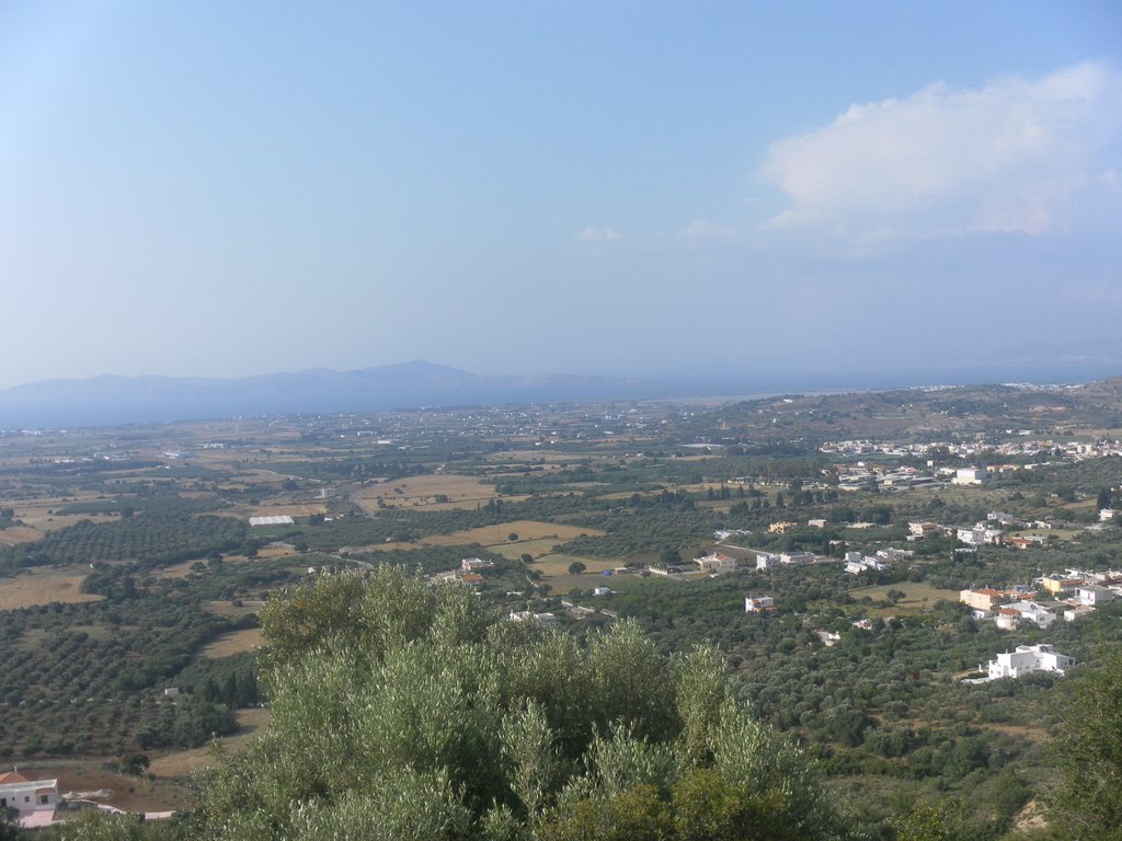 Image SAM_0782.JPG