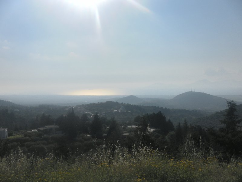 Image SAM_0784.JPG