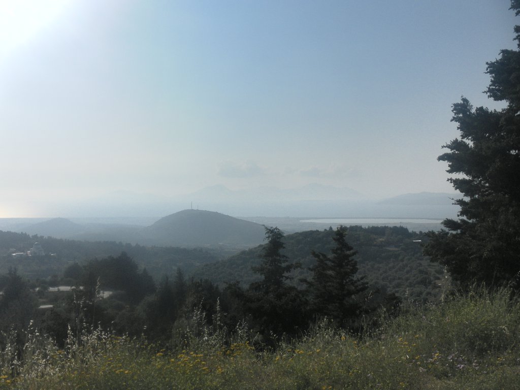 Image SAM_0785.JPG