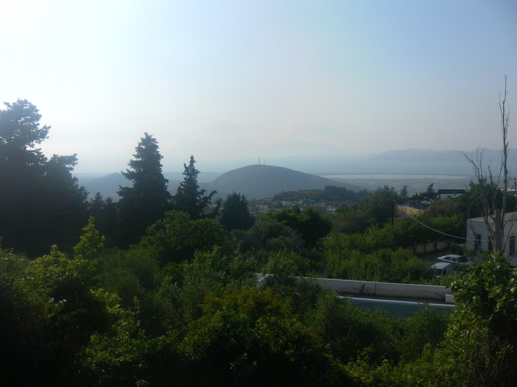 Image SAM_0790.JPG