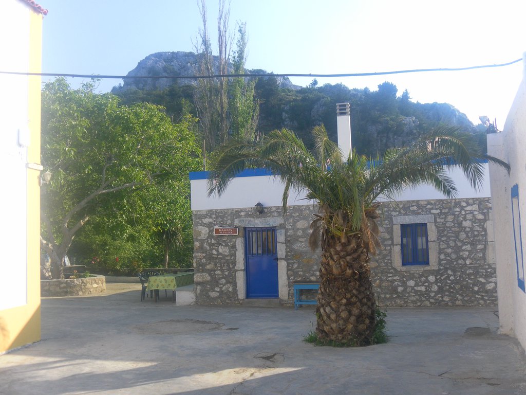 Image SAM_0792.JPG