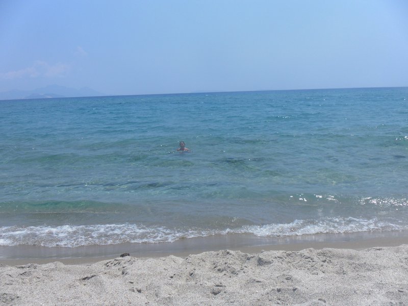 Image SAM_0805.JPG