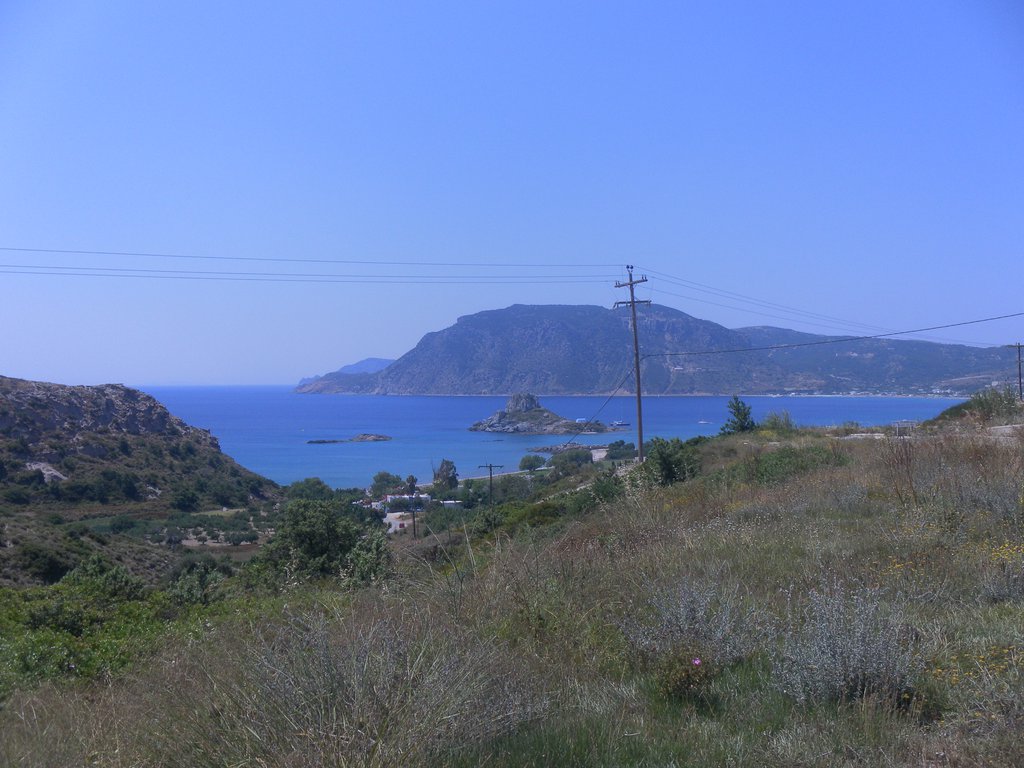 Image SAM_0810.JPG
