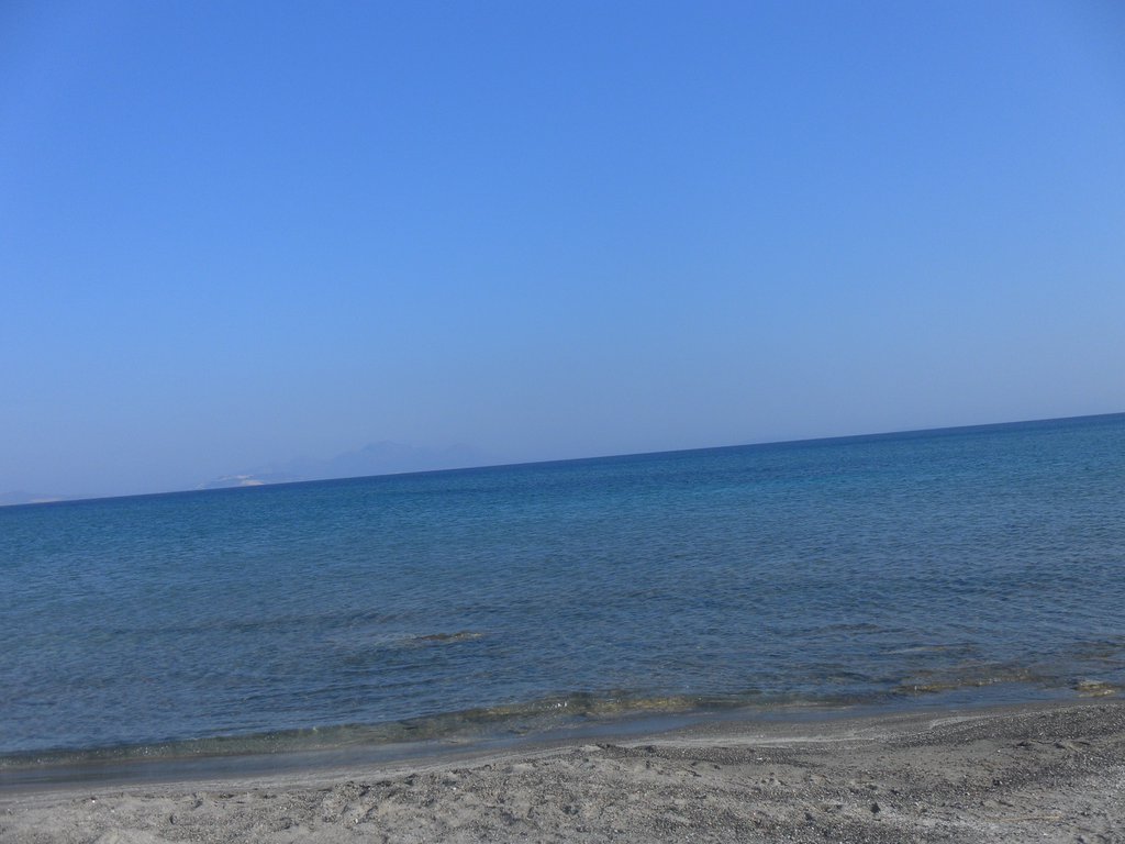 Image SAM_0824.JPG