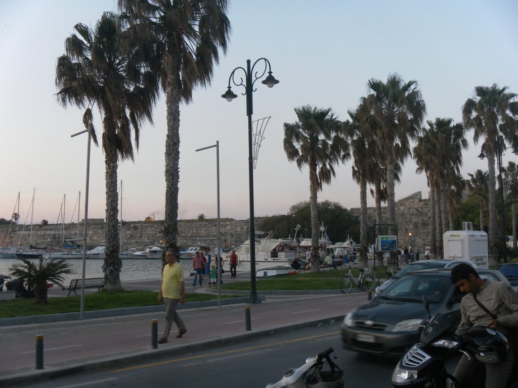 Image SAM_0825.JPG