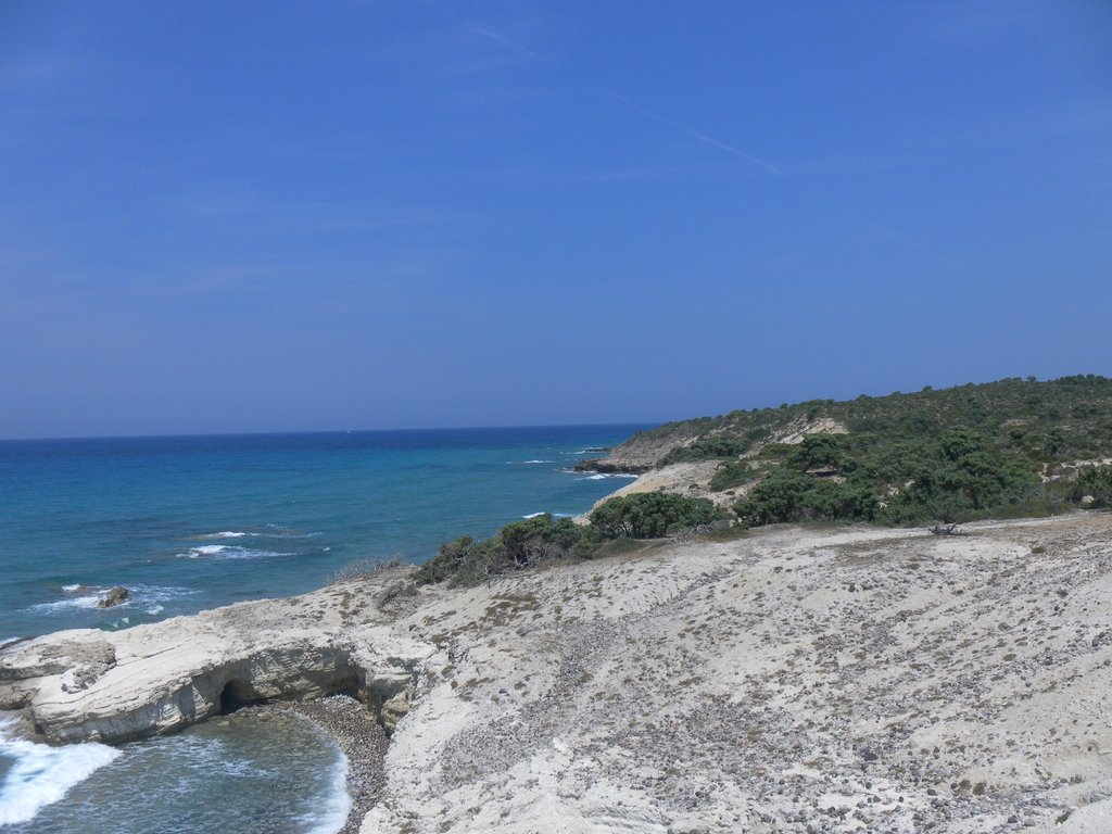 Image SAM_0845.JPG