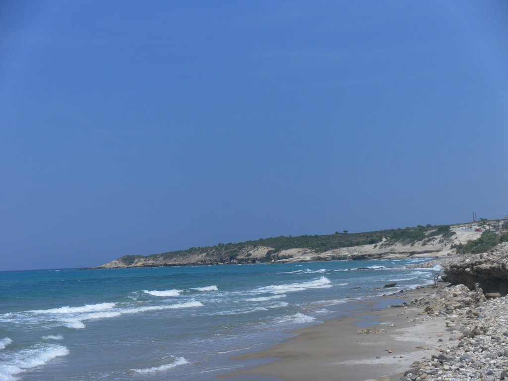 Image SAM_0847.JPG