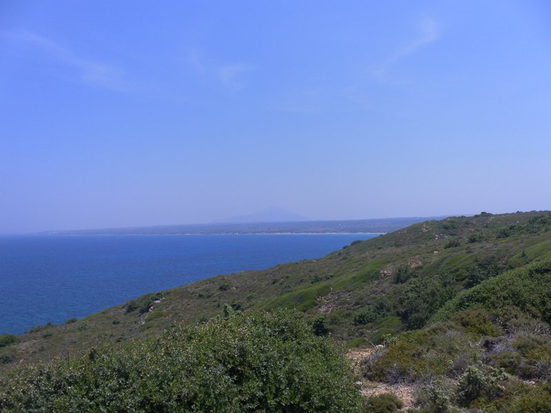 Image SAM_0848.JPG