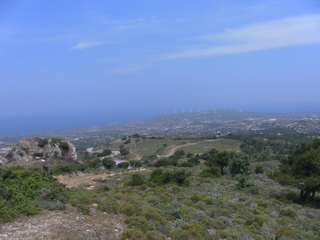 Image SAM_0861.JPG