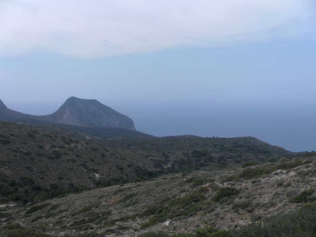 Image SAM_0862.JPG