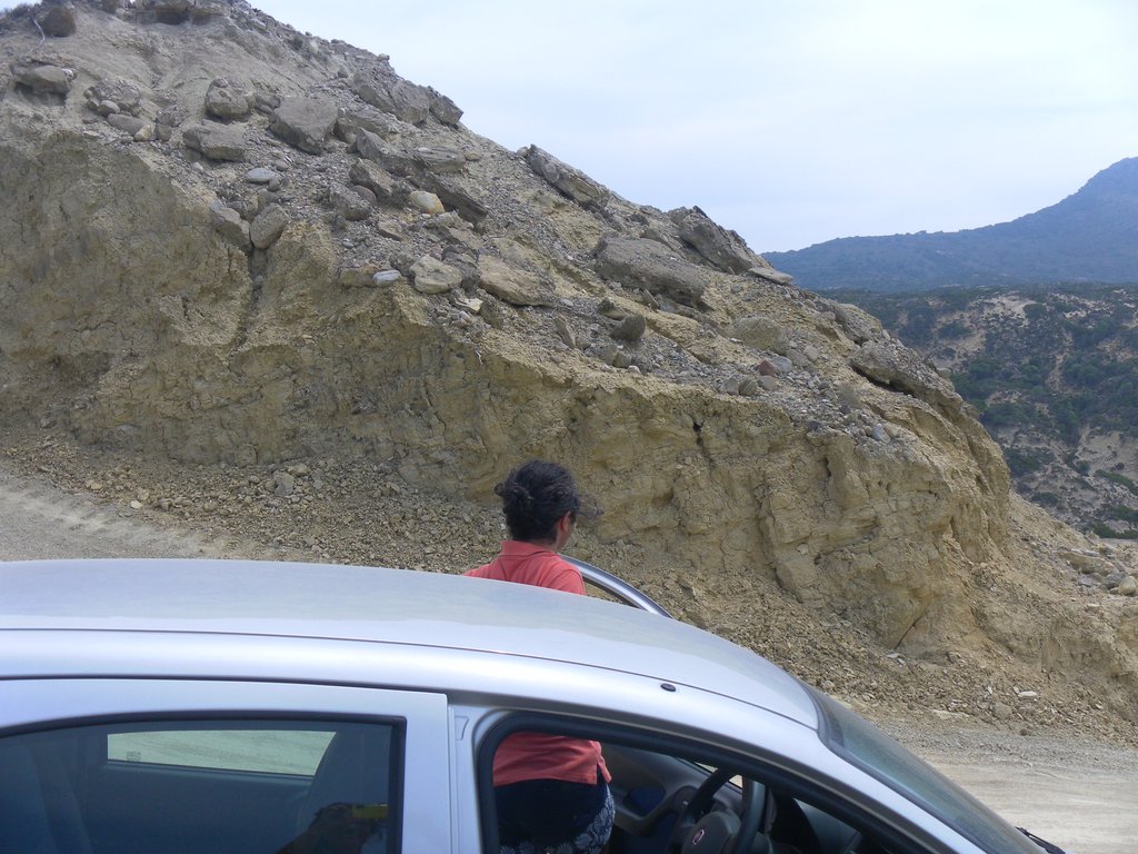 Image SAM_0865.JPG