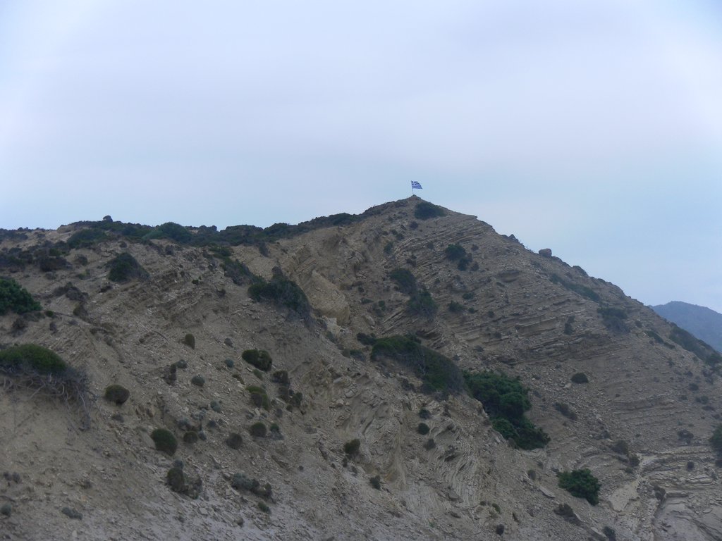 Image SAM_0872.JPG