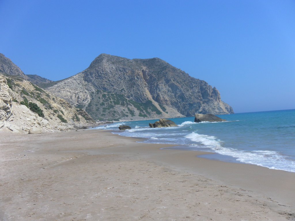 Image SAM_0875.JPG