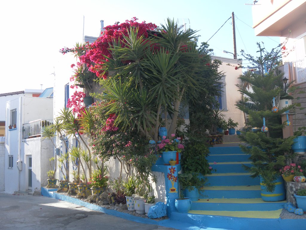 Image SAM_0883.JPG