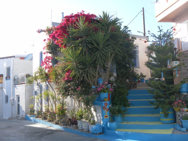 Image SAM_0883.JPG