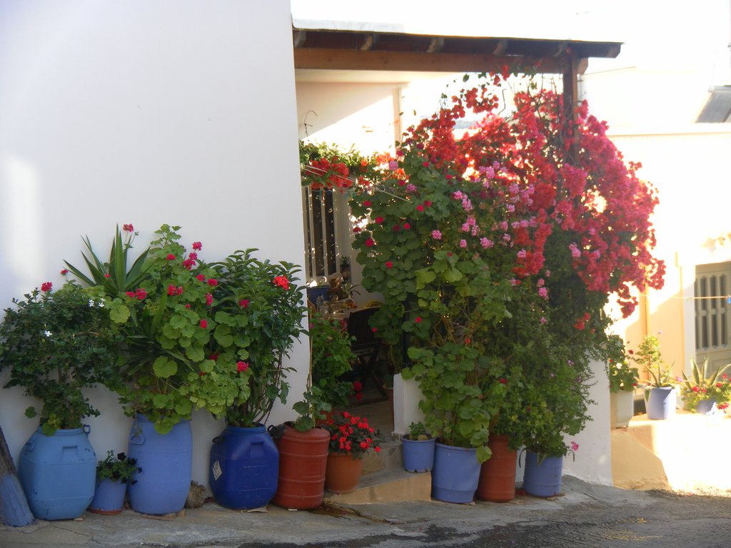 Image SAM_0885.JPG