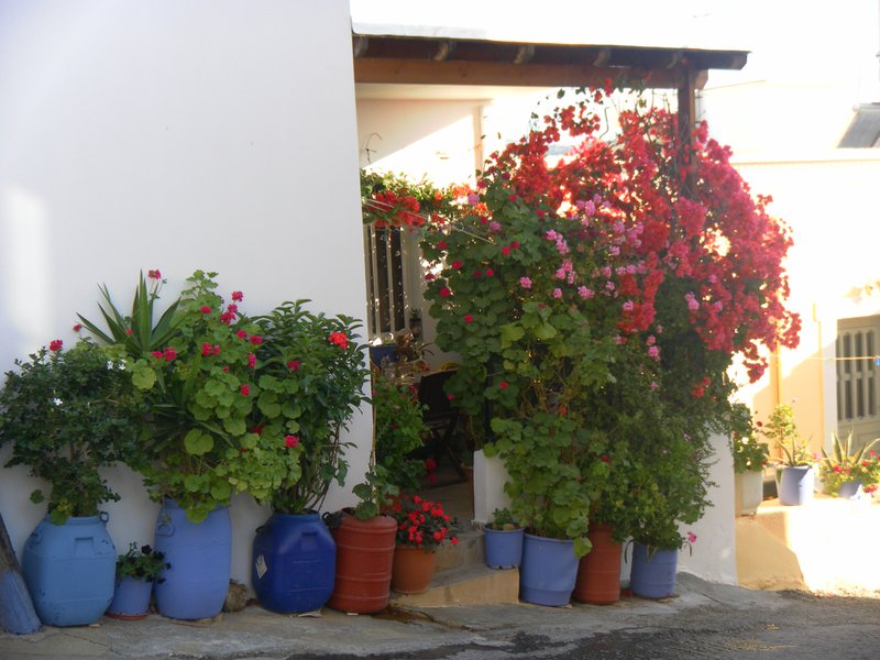 Image SAM_0885.JPG