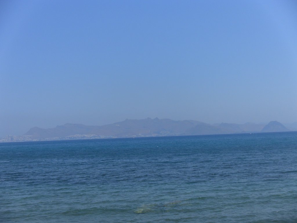 Image SAM_0893.JPG