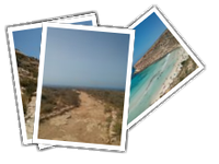 Lampedusa-2014 album picture