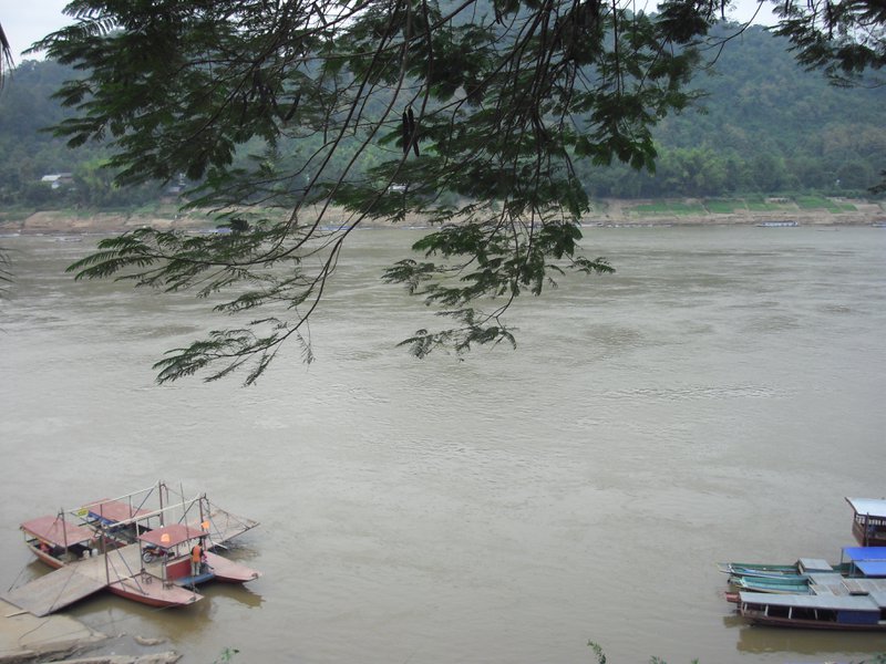Image CIMG1498.JPG