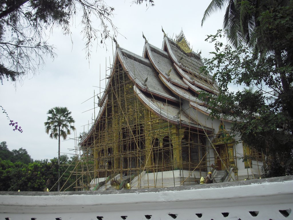 Image CIMG1505.JPG