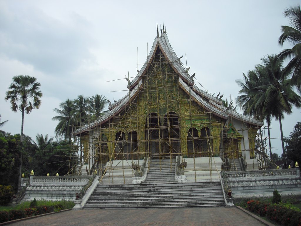 Image CIMG1507.JPG