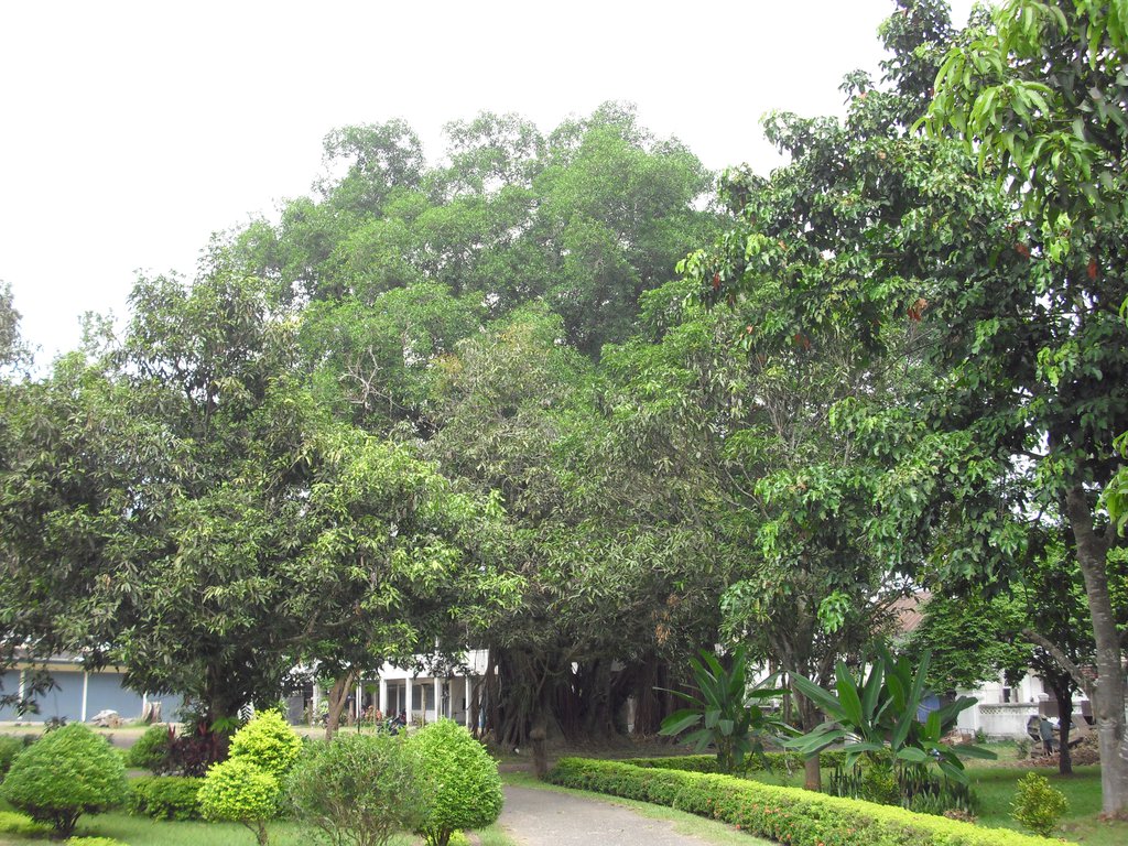 Image CIMG1508.JPG