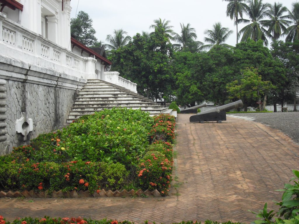 Image CIMG1515.JPG