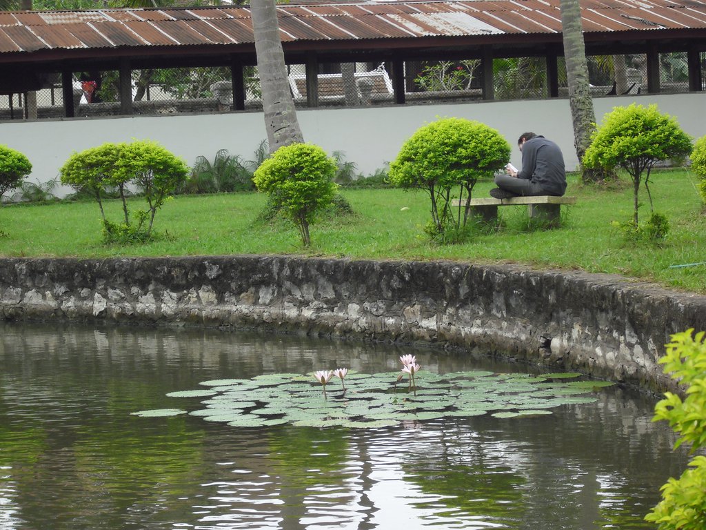 Image CIMG1518.JPG
