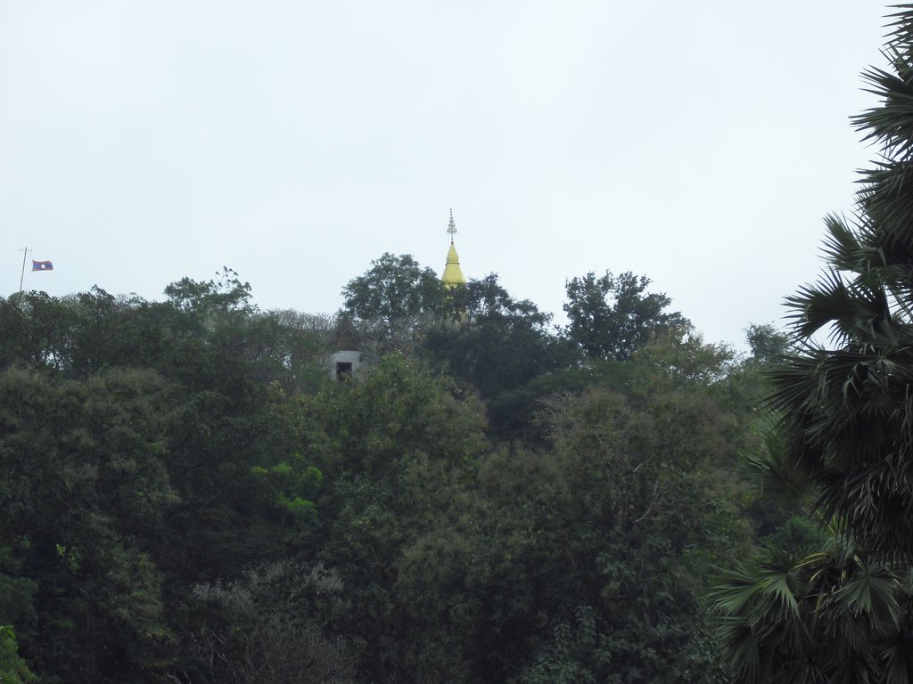 Image CIMG1520.JPG