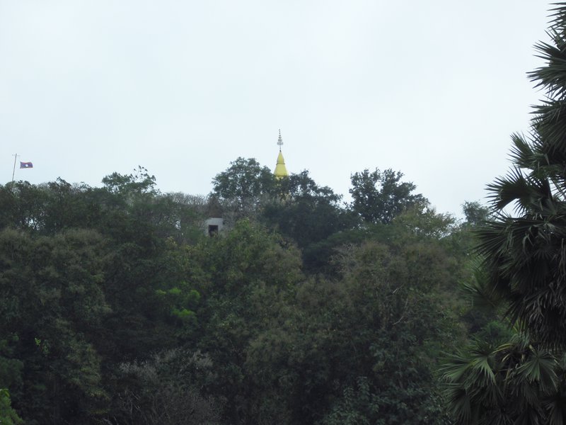 Image CIMG1520.JPG