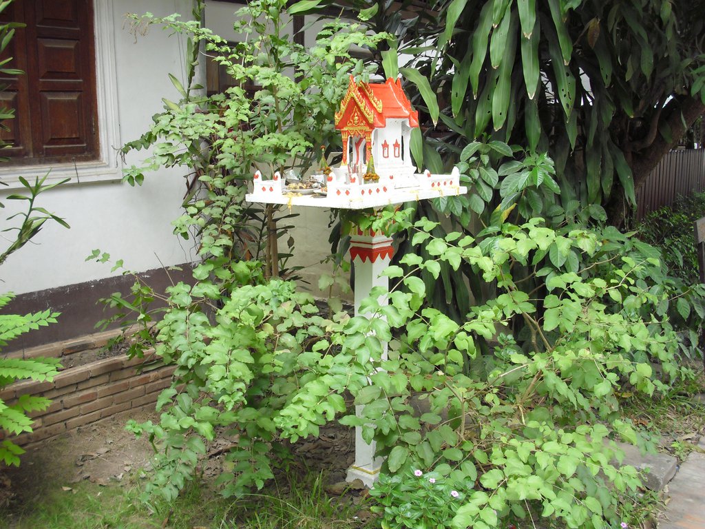 Image CIMG1532.JPG