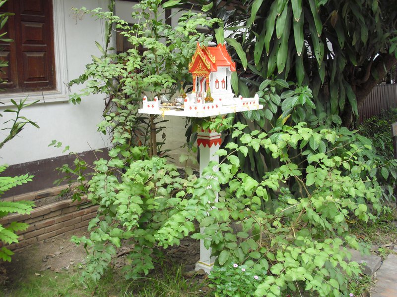 Image CIMG1532.JPG