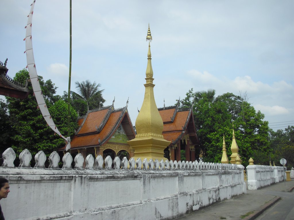 Image CIMG1533.JPG
