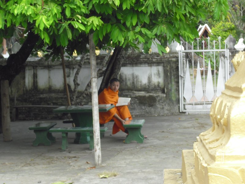 Image CIMG1534.JPG