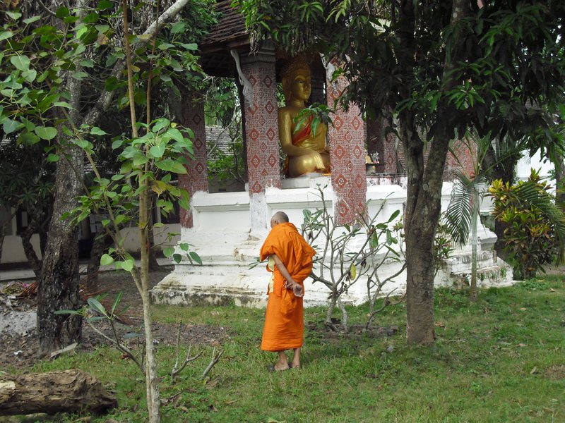 Image CIMG1542.JPG