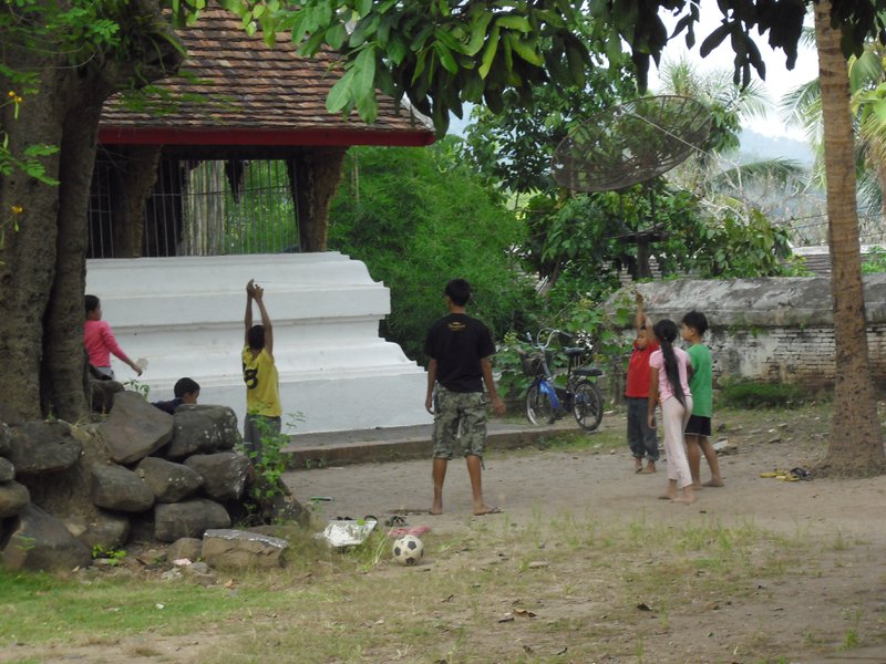 Image CIMG1559.JPG