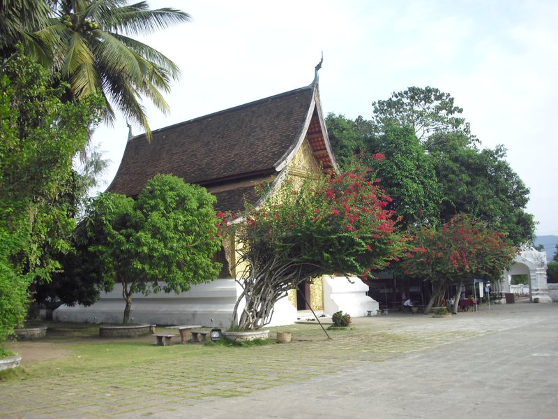 Image CIMG1561.JPG