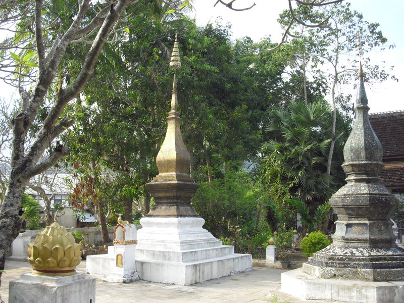 Image CIMG1569.JPG
