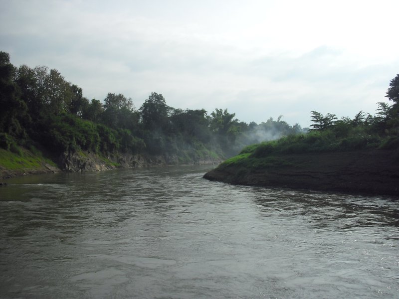 Image CIMG1584.JPG
