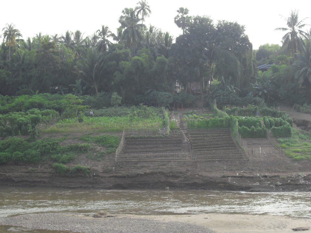 Image CIMG1590.JPG