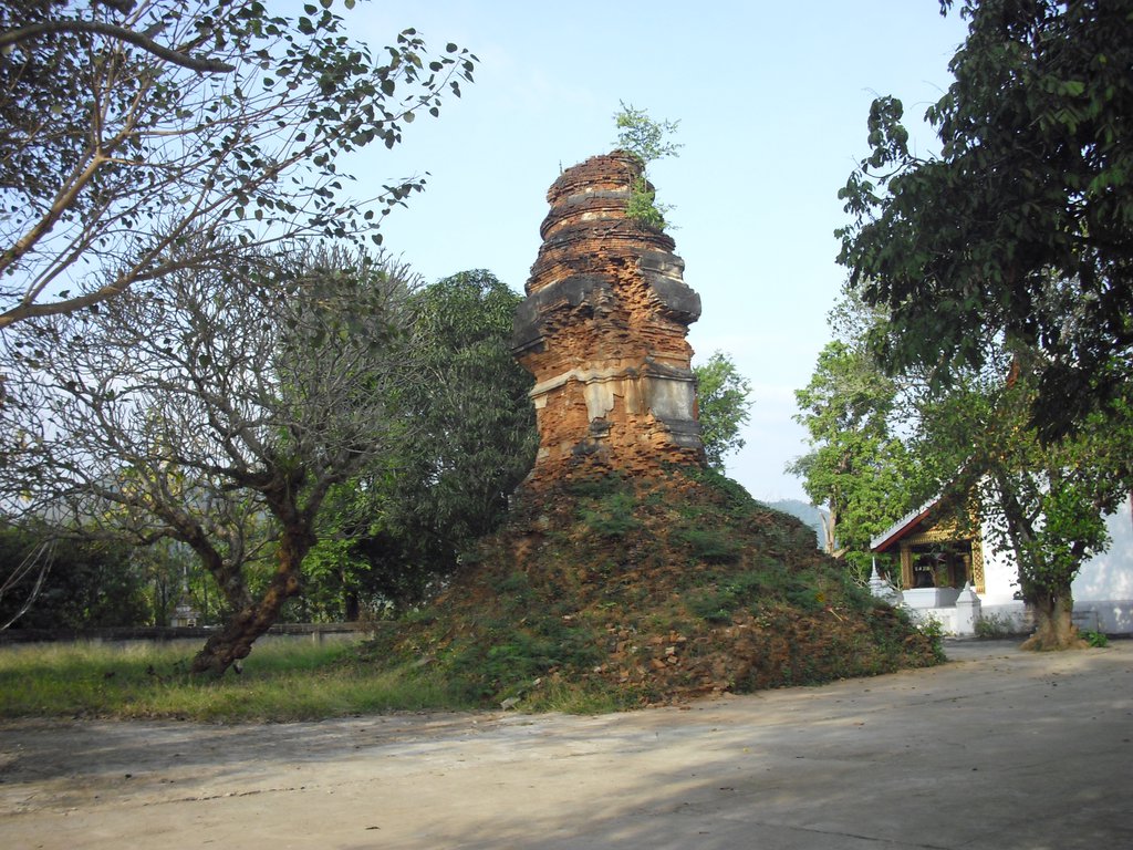Image CIMG1592.JPG