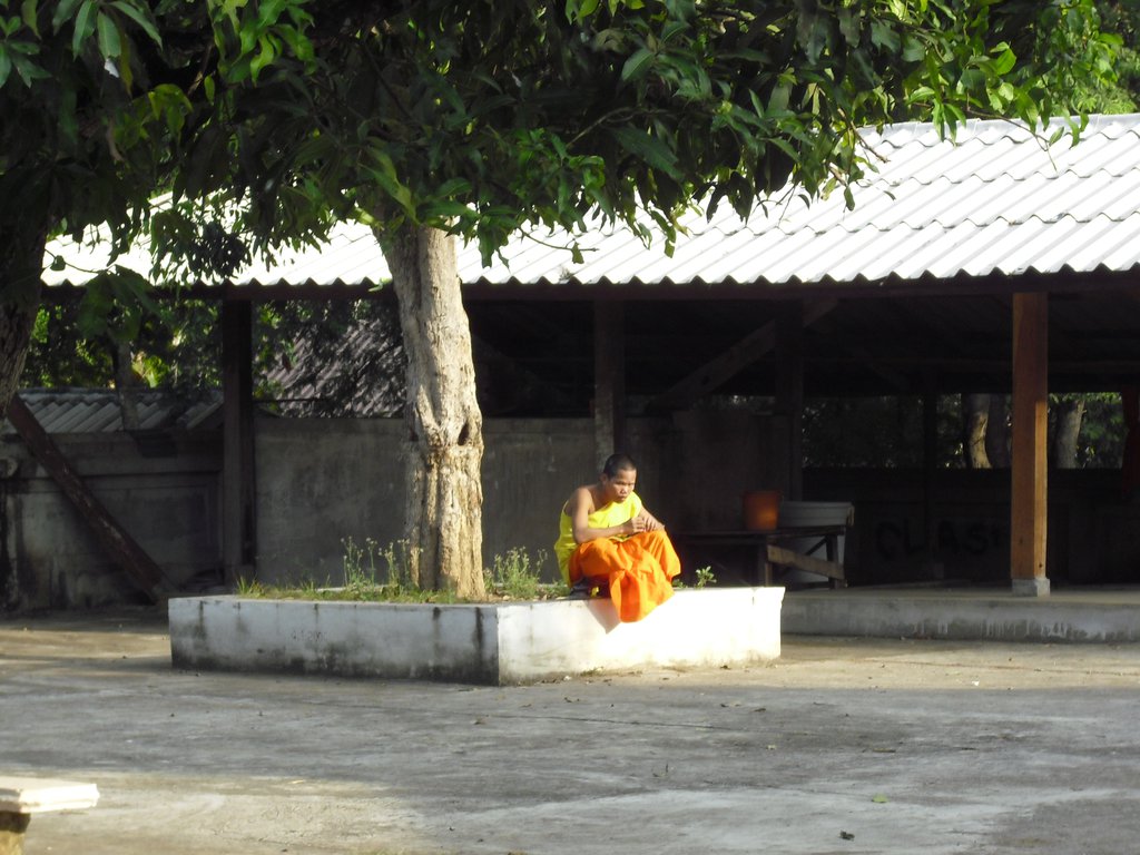 Image CIMG1593.JPG